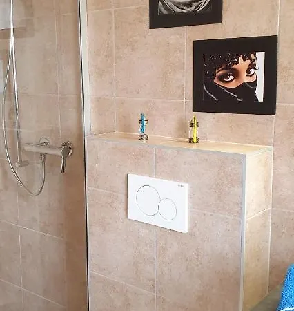 招待所 L'aurosee 3*